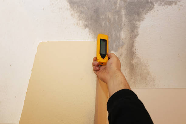 Best Indoor Air Quality Assessment  in Meridian, PA