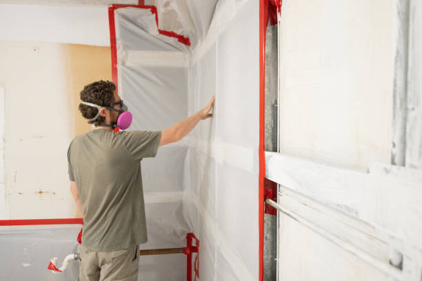 Meridian, PA Mold Removal Company