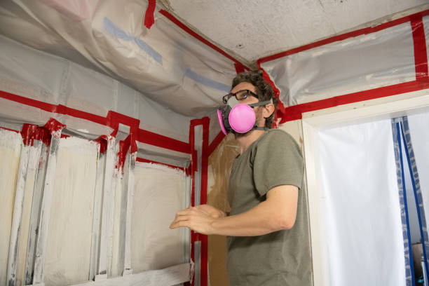 Environmental Consulting for Mold Prevention in Meridian, PA