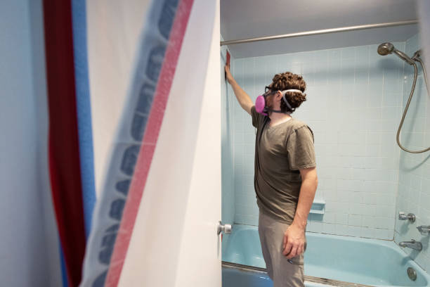  Meridian, PA Mold Removal Pros