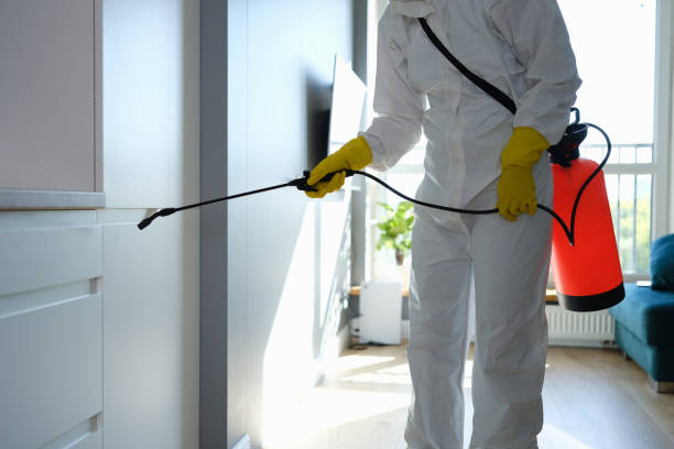 Best Residential Mold Inspection & Testing  in Meridian, PA